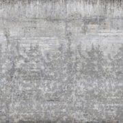 Concrete Textur_Rebel Walls