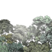 Trees on Limbo Wallpaper