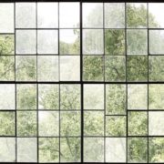 Window on Trees Wallpaper