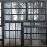Wind on forest Wallpaper